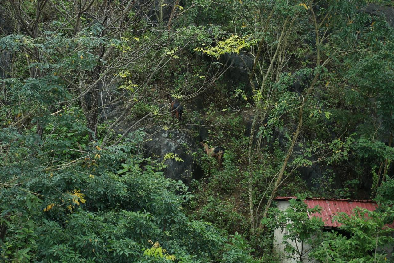 Gold Plus Hotel Phong Nha Kültér fotó