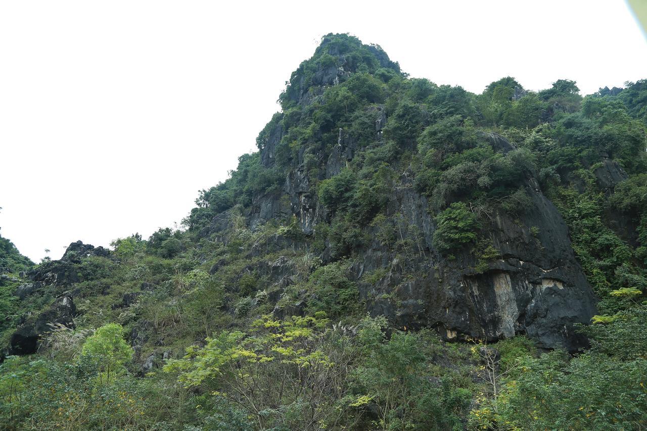 Gold Plus Hotel Phong Nha Kültér fotó