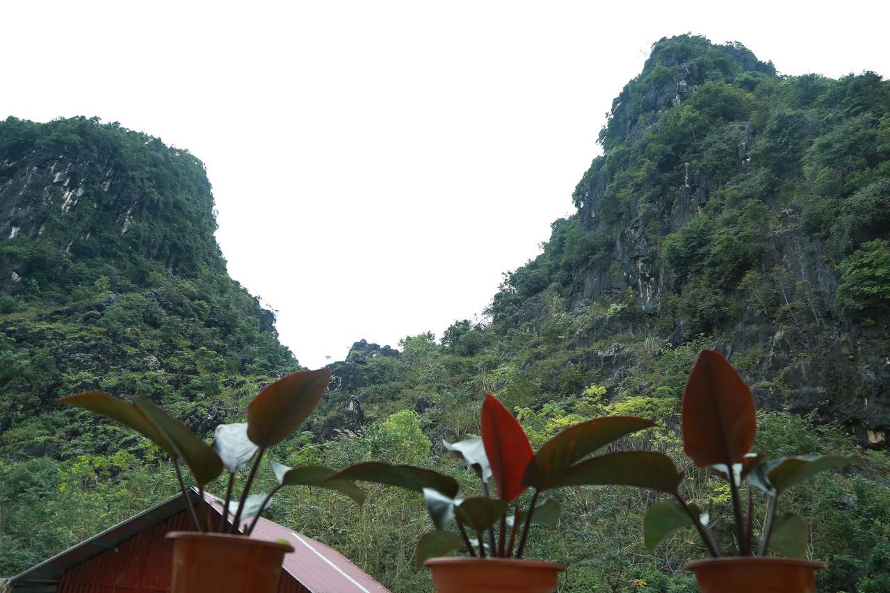 Gold Plus Hotel Phong Nha Kültér fotó